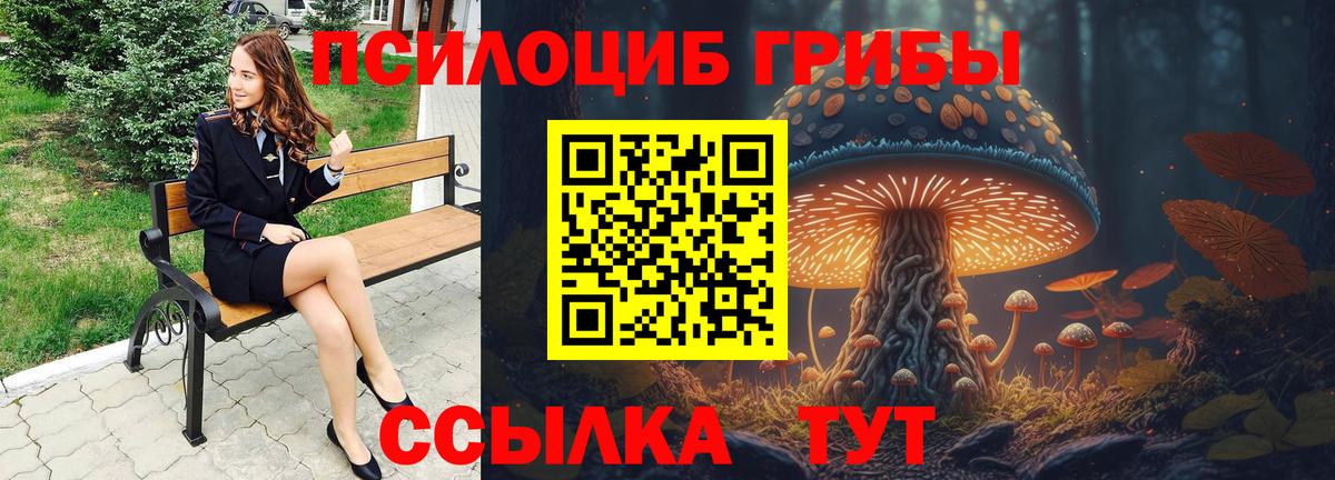Уссурийск  Псилоцибиновые грибы GOLDEN TEACHER  Вход с VPN 